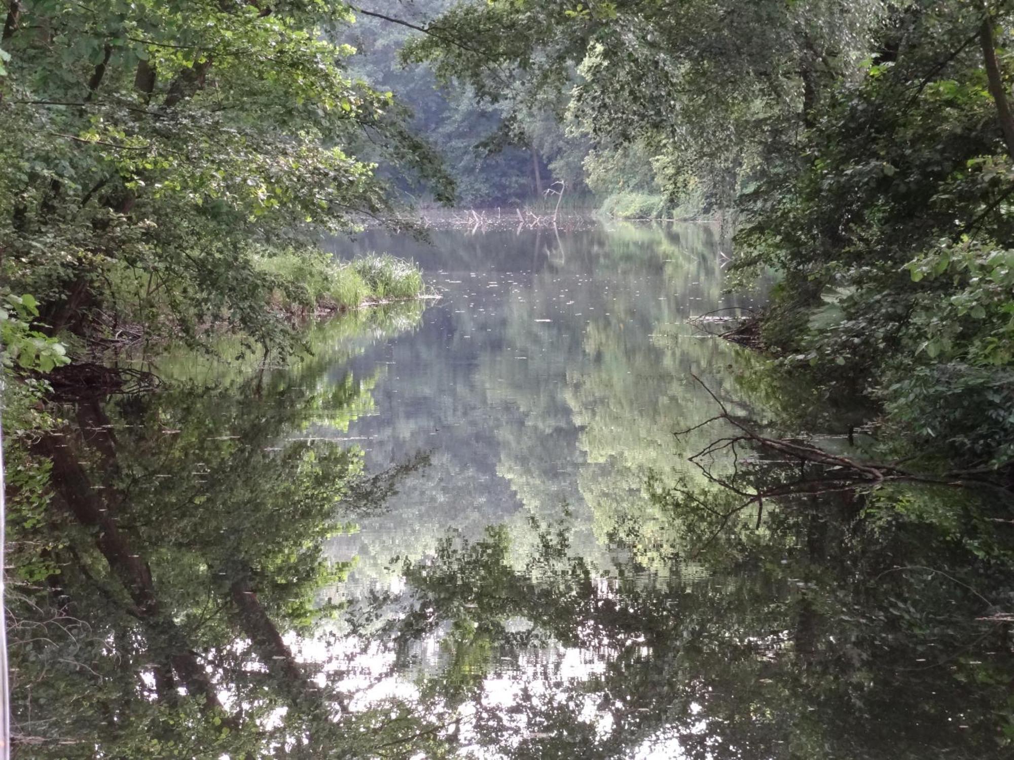 Ferienhof Kchischowka Vetschau Buitenkant foto